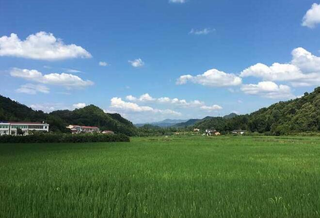 廈門蔬菜公司配送基地